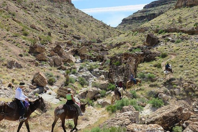 2-Hour Horseback Riding Through Red Rock Canyon