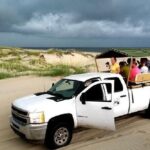 1 2 hour outer banks wild horse tour by 4wd truck 2-hour Outer Banks Wild Horse Tour by 4WD Truck