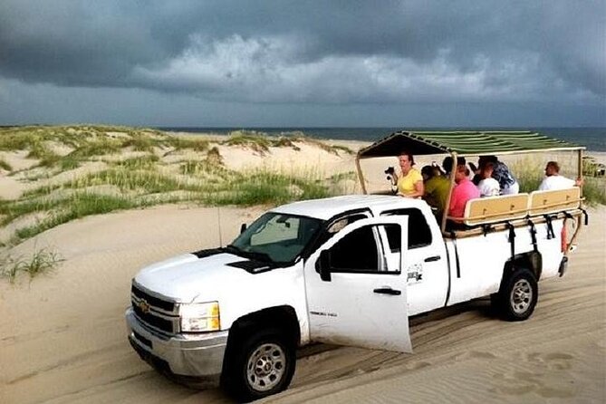2-hour Outer Banks Wild Horse Tour by 4WD Truck