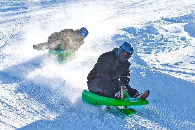 2-Hour Racing Toboggan at Dagali Fjellpark Near Geilo in Norway