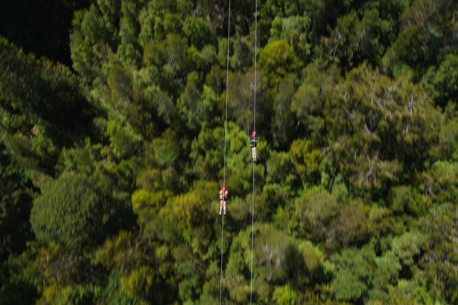 2-Hour Tower Zipline and Walkway Combo Private Guided Activity