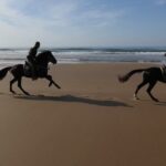 1 2 hours horse ride beach and dunes in essaouira morocco 2 Hours Horse Ride Beach and Dunes in Essaouira Morocco