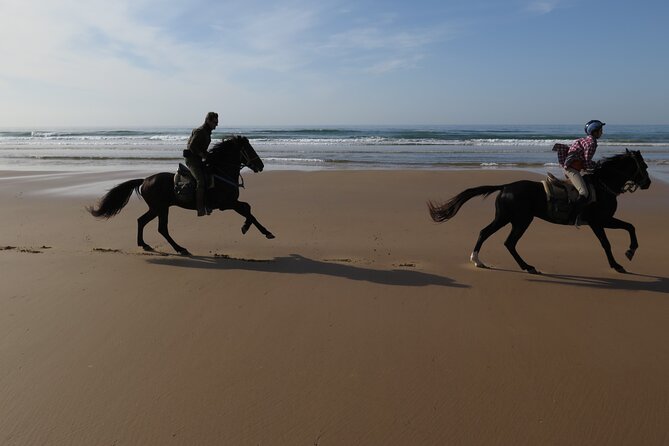 2 Hours Horse Ride Beach and Dunes in Essaouira Morocco