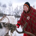 1 2 hours meet the reindeer in lofoten 2 Hours Meet The Reindeer in Lofoten
