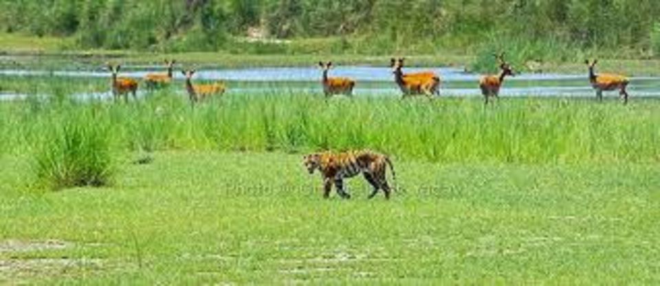 1 2 night 3 days chitwan national park tour from kathmandu 2 Night 3 Days Chitwan National Park Tour From Kathmandu