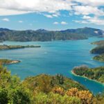 1 3 5 hour marlborough sounds delivery cruise 3.5 Hour Marlborough Sounds Delivery Cruise