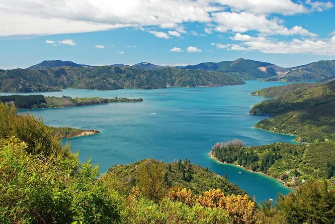 1 3 5 hour marlborough sounds delivery cruise 3.5 Hour Marlborough Sounds Delivery Cruise