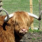 1 3 day isle of skye and highlands tour from glasgow 3-Day Isle of Skye and Highlands Tour From Glasgow
