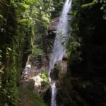 1 3 day jungle tour expedition amazonia ecuador all included 3 Day Jungle Tour Expedition Amazonia Ecuador All Included
