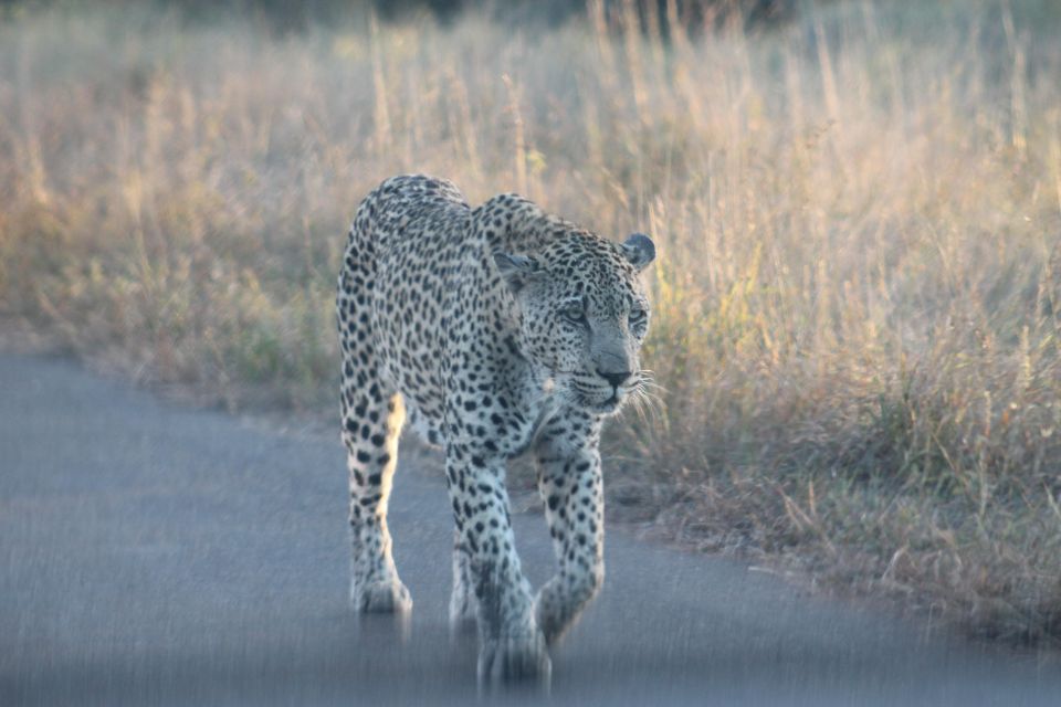 1 3 day kruger park all inclusive safari from johannesburg 3 Day Kruger Park All Inclusive Safari From Johannesburg!