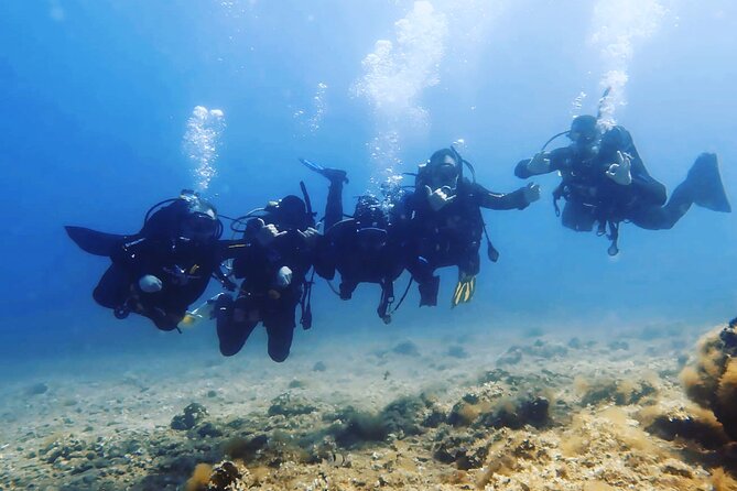 3 Hour Private Scuba Diving Experience