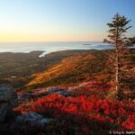 1 3 hour private tour explore all the top spots of acadia 3 Hour Private Tour: Explore All the Top Spots of Acadia!