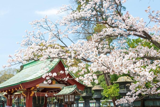 3-Hour Tokyo City Highlights Sunset Bike Tour