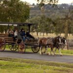1 3 hour wine and harvest the hunter horse tour in pokolbin 3- Hour Wine and Harvest the Hunter Horse Tour in Pokolbin