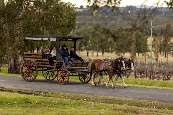 1 3 hour wine and harvest the hunter horse tour in pokolbin 3- Hour Wine and Harvest the Hunter Horse Tour in Pokolbin