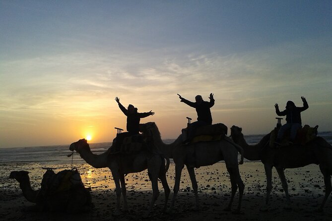 1 3 hours camel ride in essaouira beach and dunes 3 Hours Camel Ride in Essaouira, Beach and Dunes