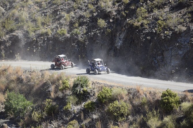 3 Hours Guided Buggy Safari Adventure in the Mountains of Mijas