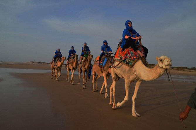 1 3 hours ride on camel at sunset 3 Hours Ride on Camel at Sunset