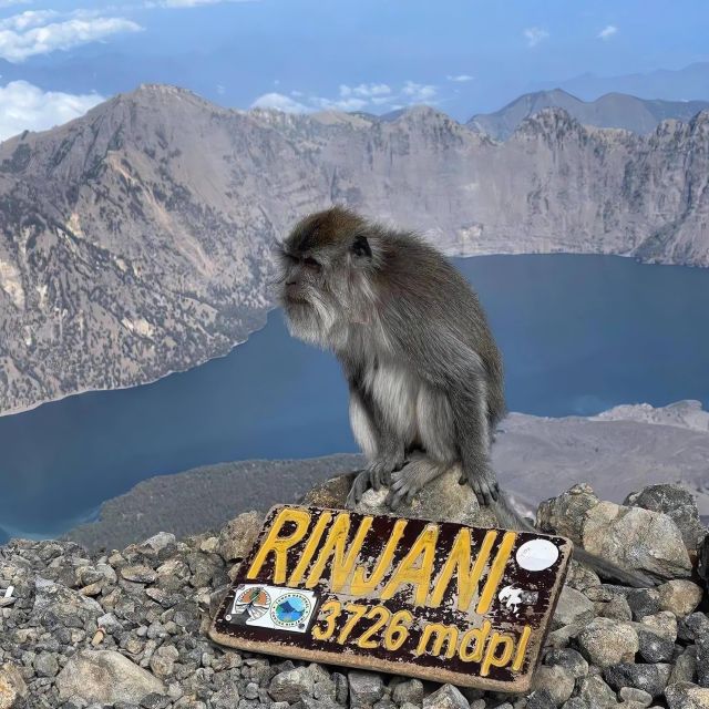 1 3d 2n rinjani trekking summitlake and hot spring 3d 2n Rinjani Trekking Summit,Lake and Hot Spring