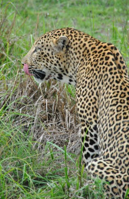 4 Day Kruger Park and Panorama Route Tour