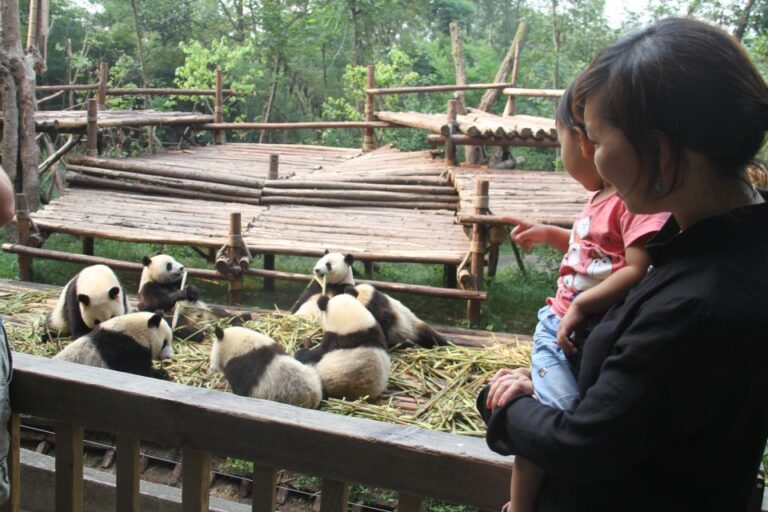 4-Day Private Tour to Chengdu, Leshan and Mount Emei