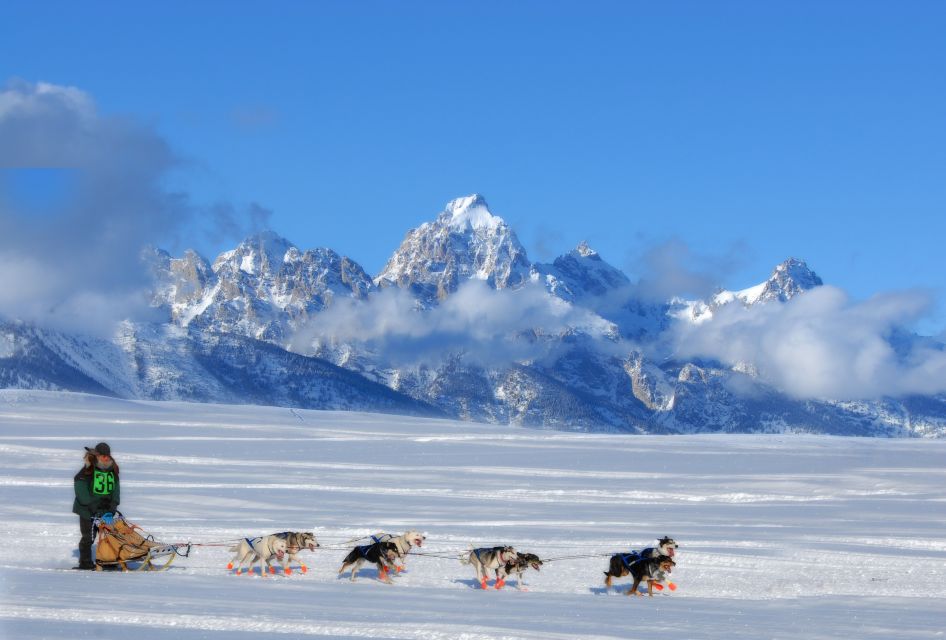 1 4 day winter yellowstone tour 4-Day Winter Yellowstone Tour