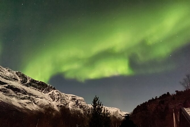 4 Days, 3 Countries Tour: Northern Lights and Moose