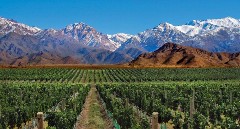 4 – Days Trip to Mendoza & The Andes