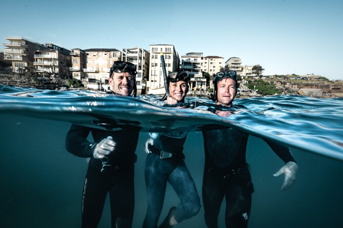4-Hour Freediving Taster Experience at Shelly Beach, Manly