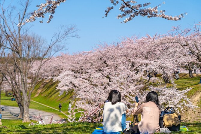 1 4 hour private cherry blossom sakura experience in nagasaki 4 Hour Private Cherry Blossom "Sakura" Experience in Nagasaki