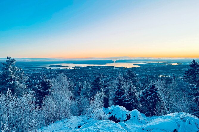 1 4 hours winter view of the oslofjord walk tour 4 Hours Winter View of the Oslofjord Walk Tour