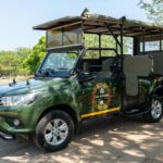1 5 day kruger glamping budget adventure 5 Day Kruger Glamping Budget Adventure