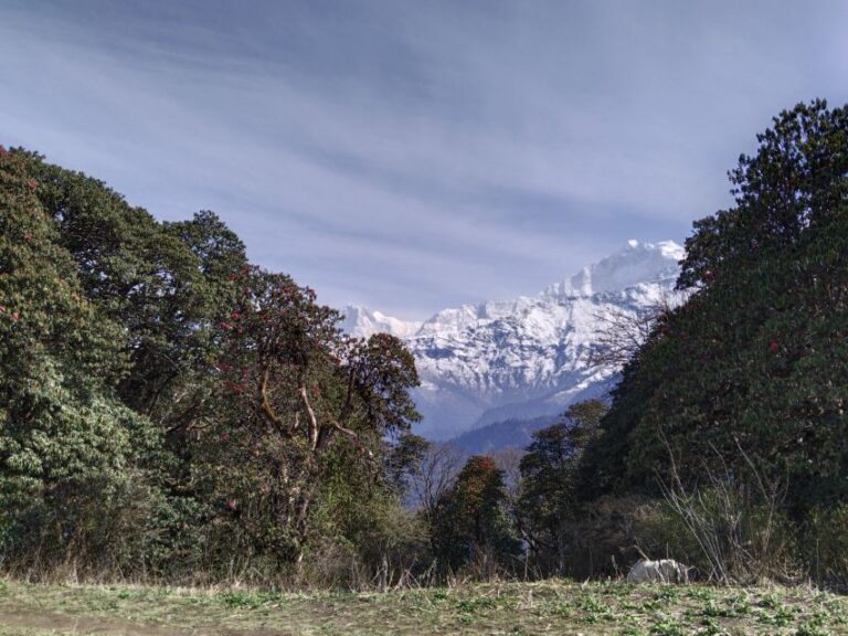 5 Days 4 Nights Annapurna Trek With Poon Hill and Dhampus