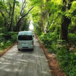 1 5 hours st nicholas abbey and bajan tour in barbados 5 Hours St. Nicholas Abbey and Bajan Tour in Barbados
