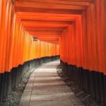 1 5 top highlights of kyoto with kyoto bike tour 5 Top Highlights of Kyoto With Kyoto Bike Tour