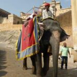 1 6 days golden triangle india tour with ranthambore 6 Days Golden Triangle India Tour With Ranthambore