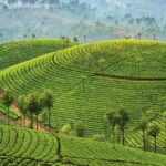 1 7 days backwater of kerala tour from delhi 7 Days Backwater Of Kerala Tour From Delhi