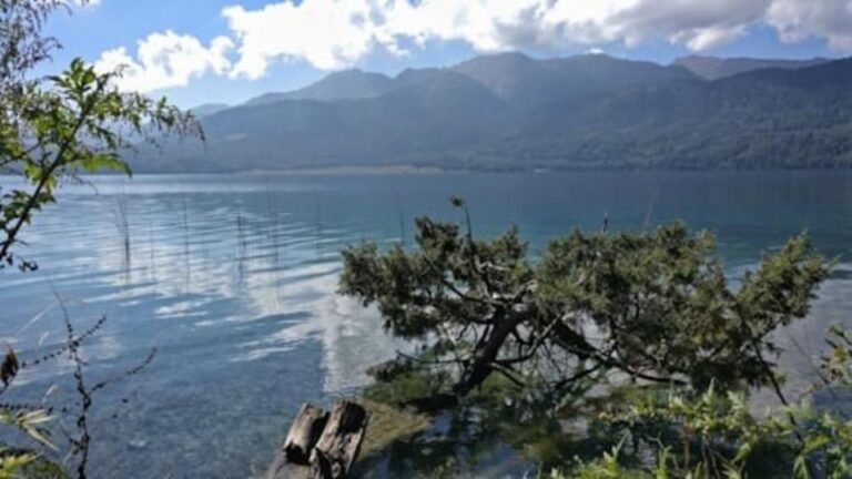 7 Days Trek in Rara