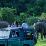 1 8 day cultural triangle wildlife tour 8-Day Cultural Triangle & Wildlife Tour