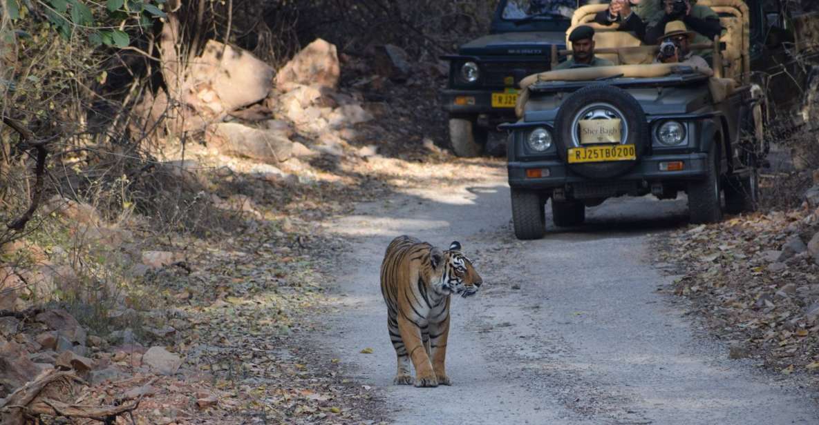 1 8 days golden triangle india with wild life tour from delhi 8 Days Golden Triangle India With Wild Life Tour From Delhi