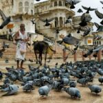 1 8 days golden triangle tour with pushkar from delhi 2 8 - Days Golden Triangle Tour With Pushkar From Delhi