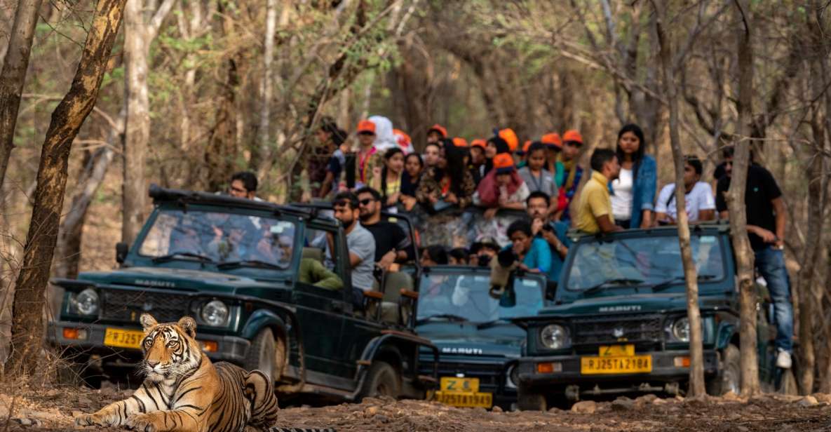 1 8 days golden triangle tour with ranthambore tiger safari 8 - Days Golden Triangle Tour With Ranthambore Tiger Safari