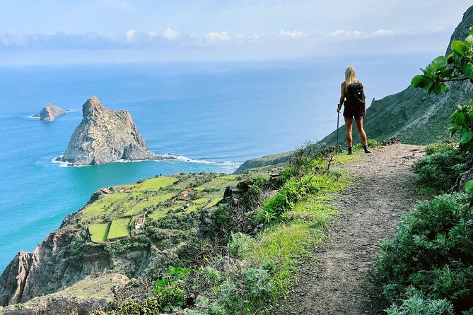 8 Days Hiking Tour in Tenerife 18-25 Dec  and 17-24 Jan