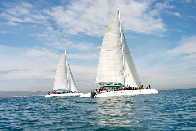 1 a day at sea from denia or javea with barbecue aboard the catamaran A Day at Sea From Dénia or Jávea With Barbecue Aboard the Catamaran