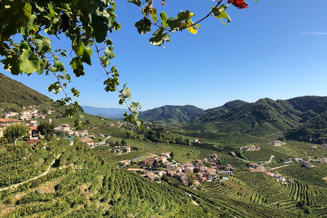 A Sparkling Day in the Prosecco Hills- From Venice