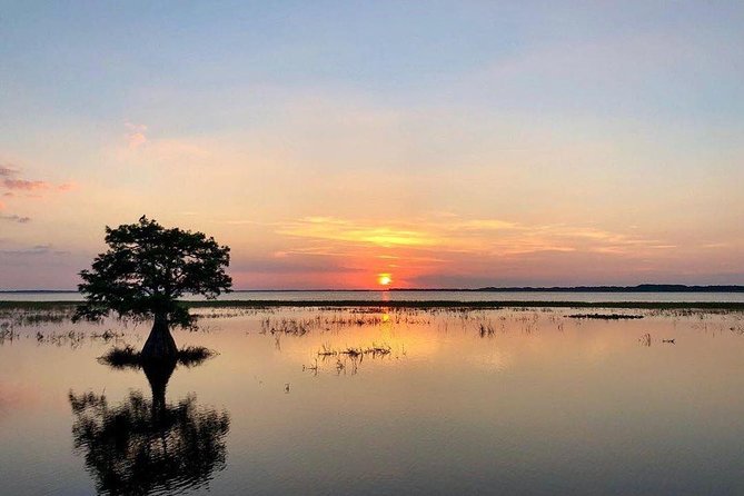 A Sunset Airboat Tour of the Florida Everglades (Mar )