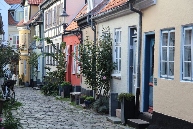 Aalborg Private Cultural Walking Tour