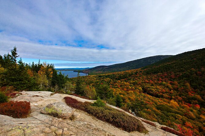Acadia Full Day Small Group Tour