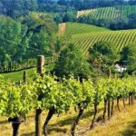 1 adelaide hills private day tour Adelaide Hills Private Day Tour