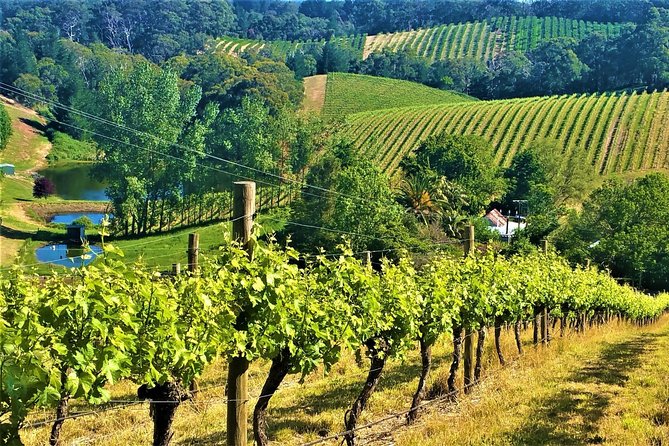 1 adelaide hills private day tour Adelaide Hills Private Day Tour